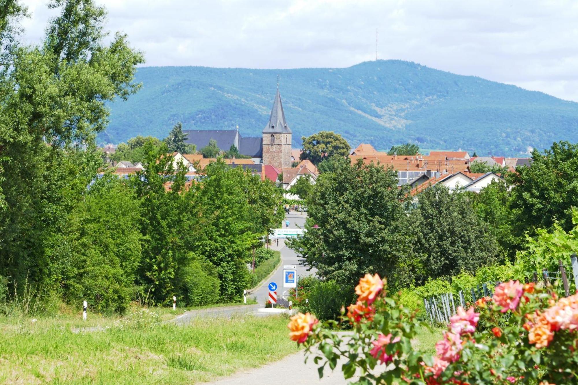 Kirrweiler  Hotel Garni Sebastian מראה חיצוני תמונה