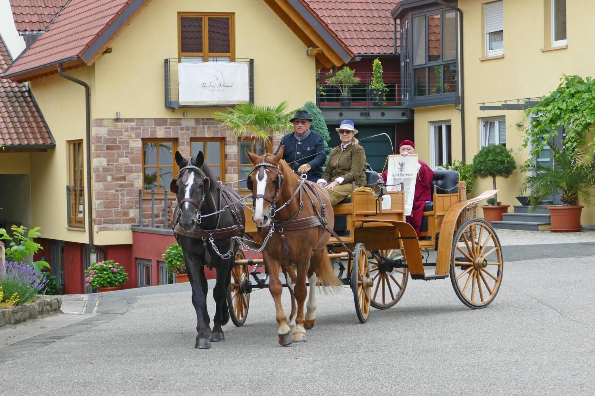 Kirrweiler  Hotel Garni Sebastian מראה חיצוני תמונה